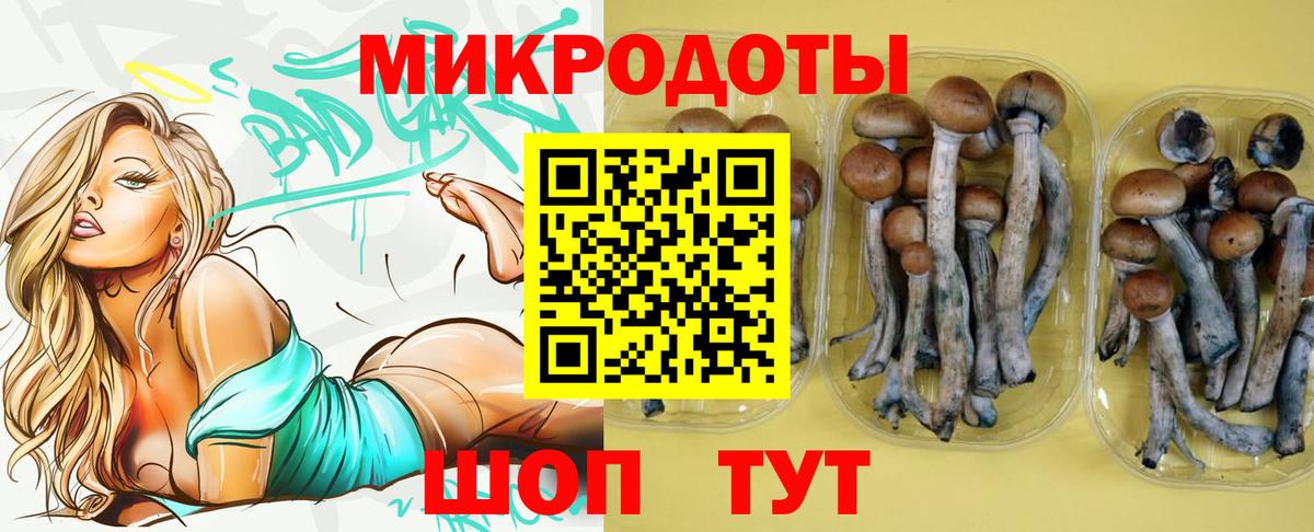 Воткинск  Галлюциногенные грибы Cubensis  Вход с VPN 